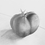 Sketch/Light Study - Tomato 